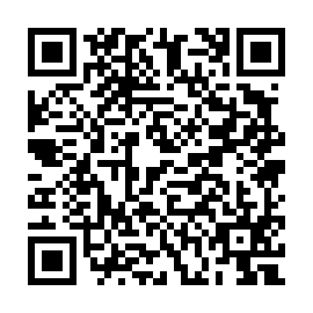 QR code for BGA4953