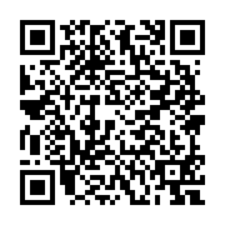 QR code for BGI6919
