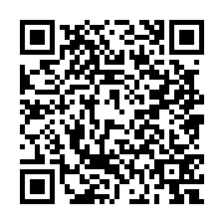 QR code for BGX0739