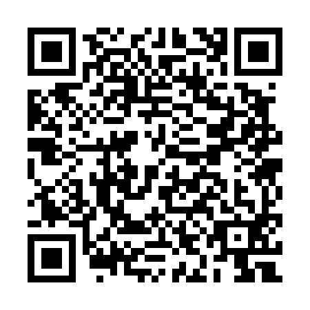 QR code for BIC4929