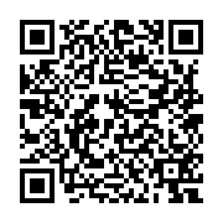 QR code for BIC9533