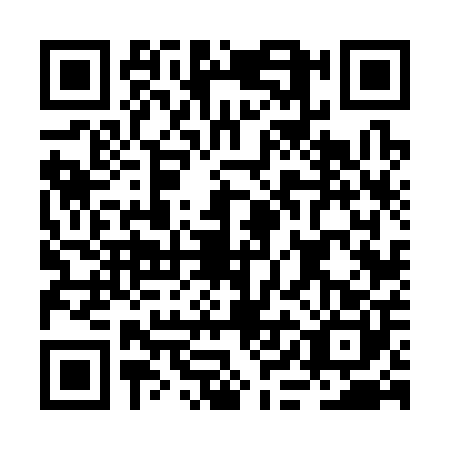 QR code for BIF3008