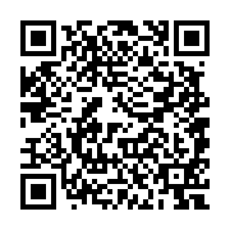 QR code for BIF4919