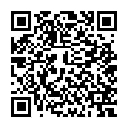 QR code for BIG3028