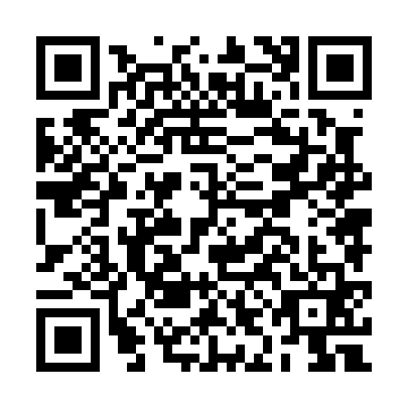 QR code for BIN0611