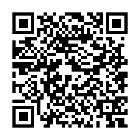QR code for BIN1729