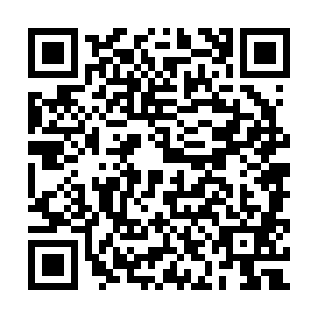 QR code for BIN2812