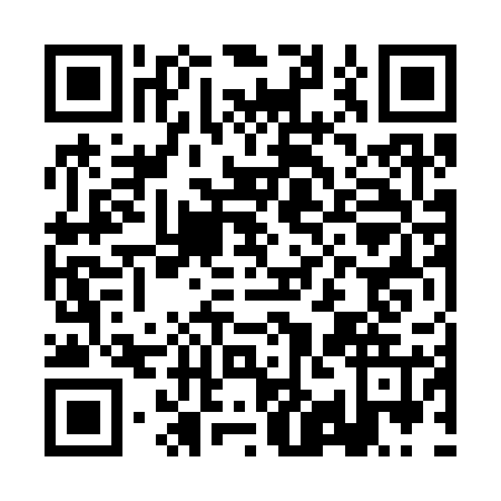 QR code for BIN3259