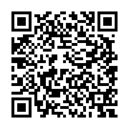 QR code for BIN4506
