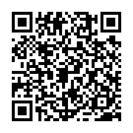 QR code for BIR6223