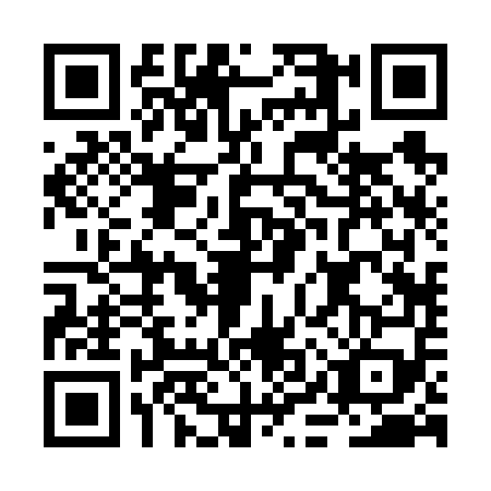 QR code for BIR6593