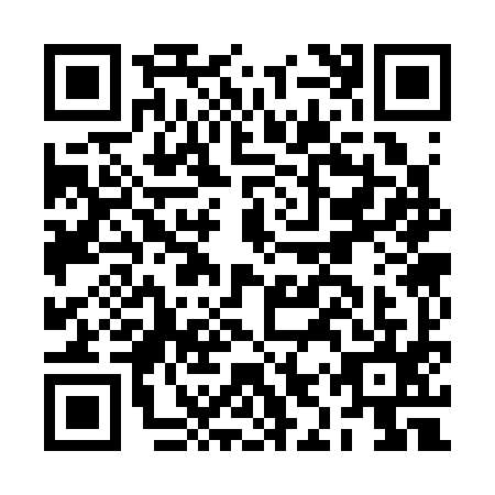 QR code for BIS3953