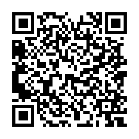 QR code for BJX5419