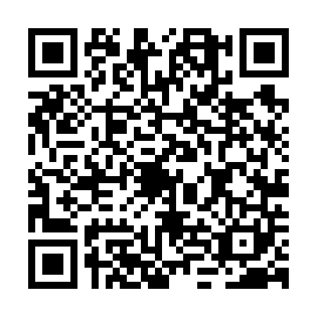 QR code for BLL6413