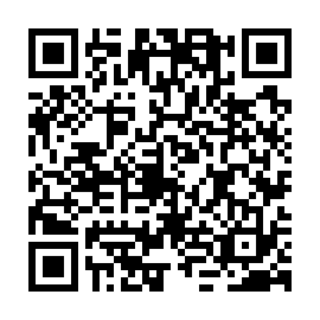 QR code for BLN7333
