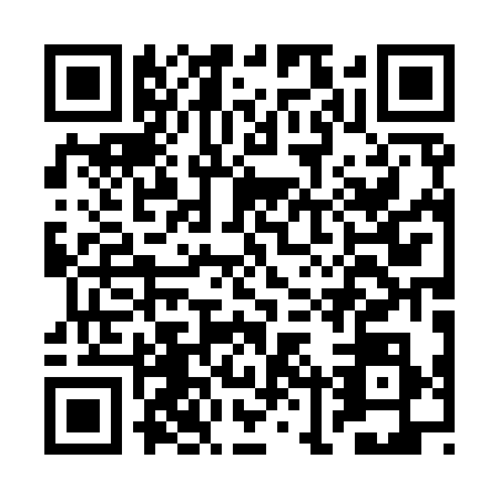 QR code for BLP9385
