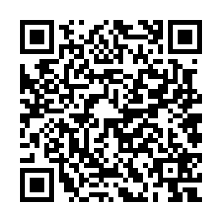 QR code for BLV0295