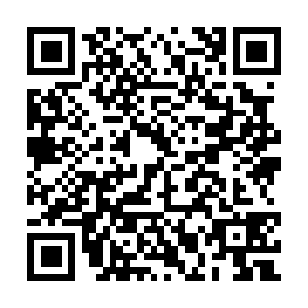 QR code for BMY0383