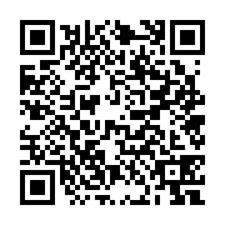 QR code for BNG3383