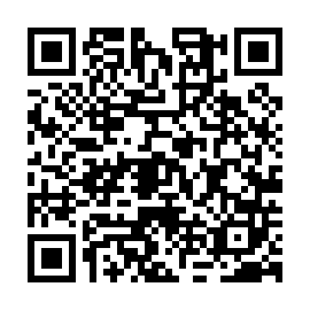 QR code for BNL0420