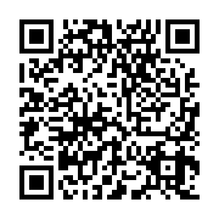 QR code for BON0393