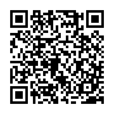 QR code for BOR0474