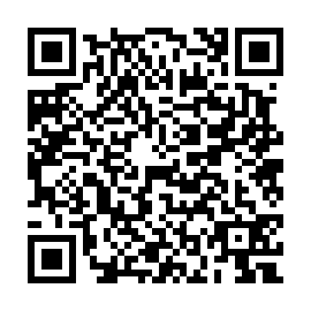 QR code for BOR4325