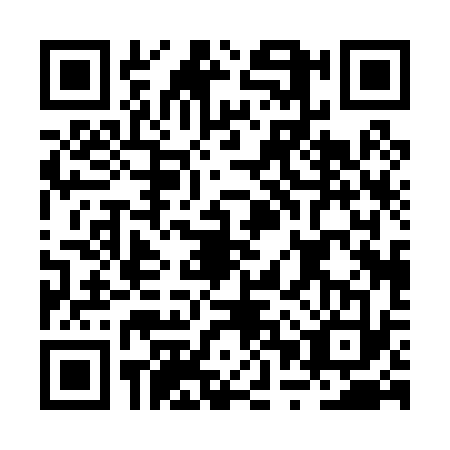 QR code for BPP0338