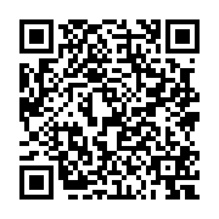 QR code for BQI0011