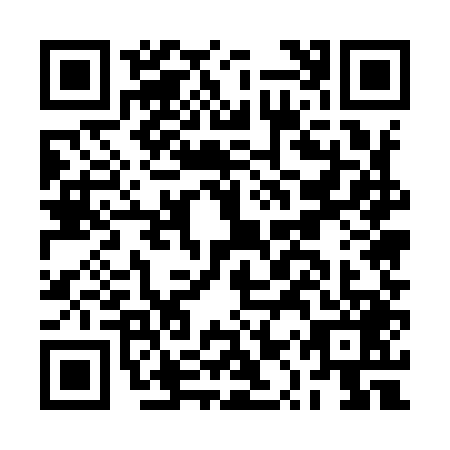 QR code for BQU9493