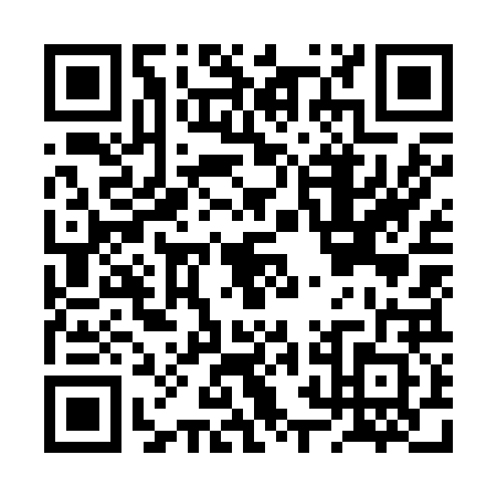 QR code for BRO2228