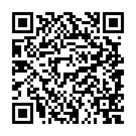 QR code for BRT0993