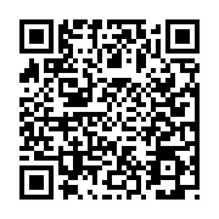 QR code for BRV4847