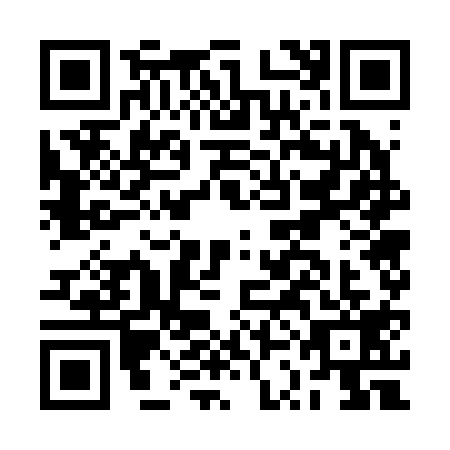 QR code for BSG2197