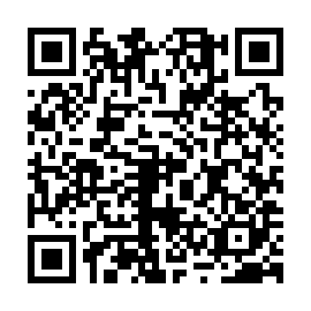 QR code for BSM3803