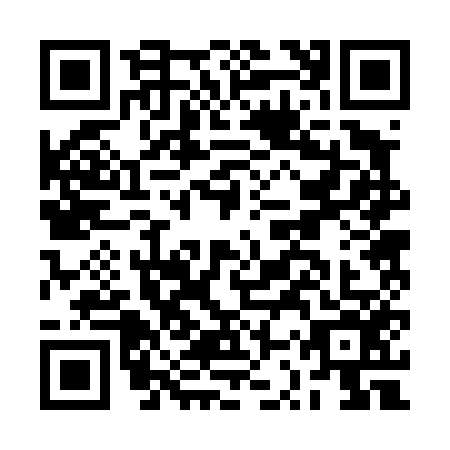 QR code for BSR4563