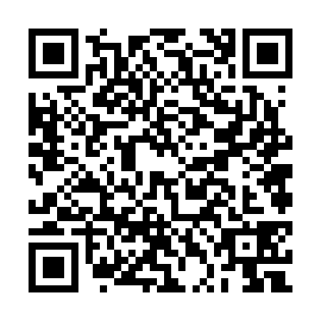 QR code for BTF2385