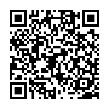 QR code for BUB7493