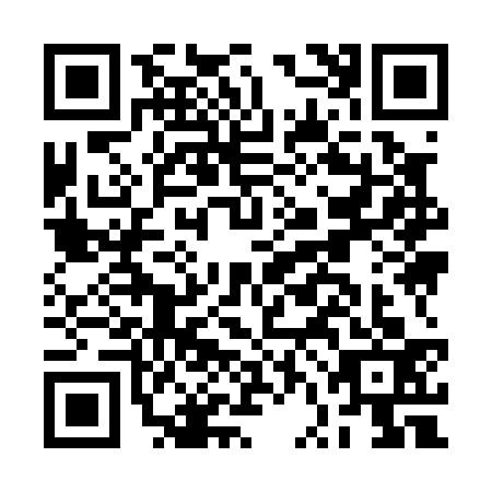 QR code for BVI0339