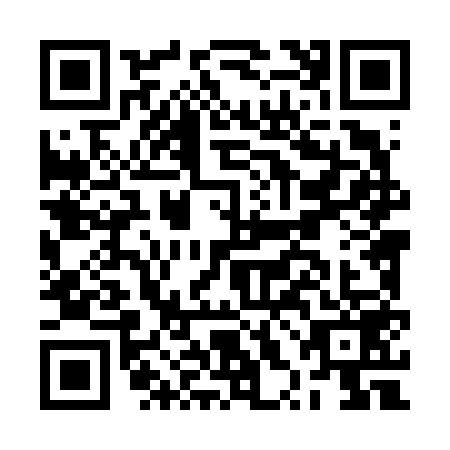 QR code for BXL6593