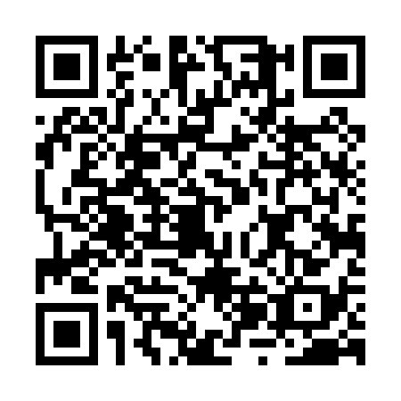 QR code for BZD0381