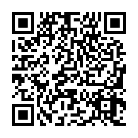 QR code for BZM9381