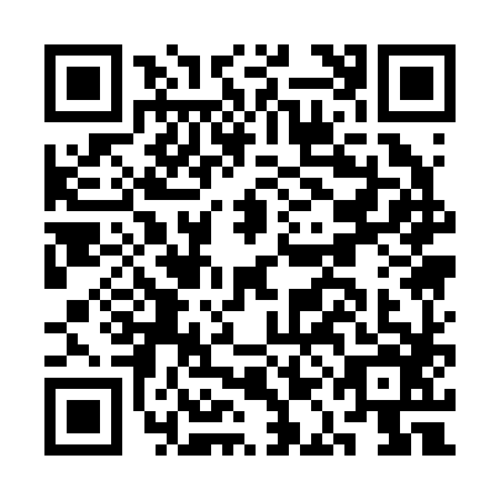 QR code for CAA2863