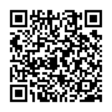 QR code for CAE6296