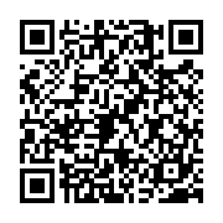 QR code for CAI4771