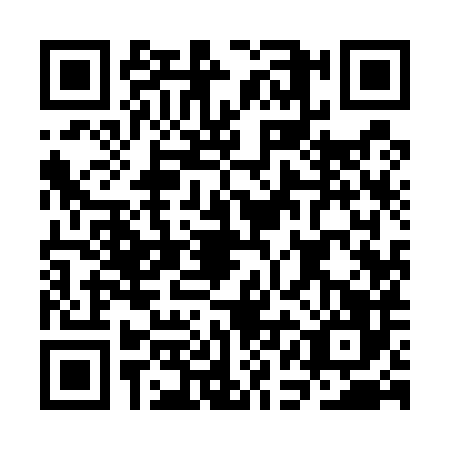 QR code for CAI5869