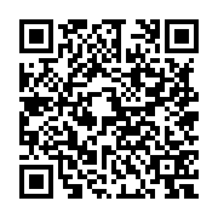 QR code for CDE8739