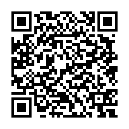 QR code for CDP4313