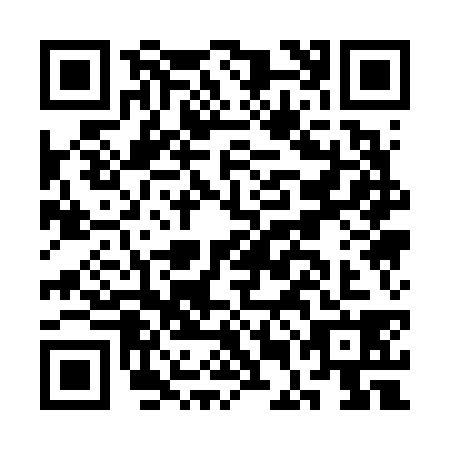 QR code for CEA6389
