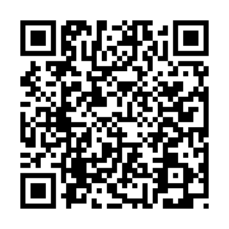 QR code for CHE9911